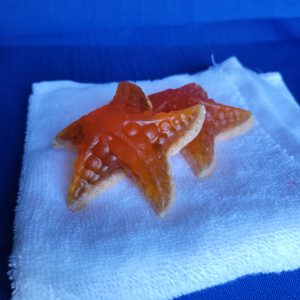 Starfish Soap